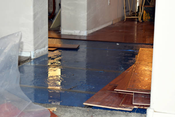 Professional Flood Damage Repair technician working in Thornton, PA